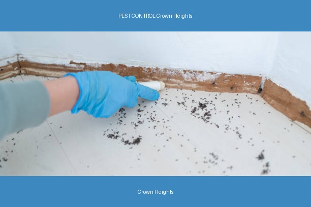 PEST CONTROL Crown Heights